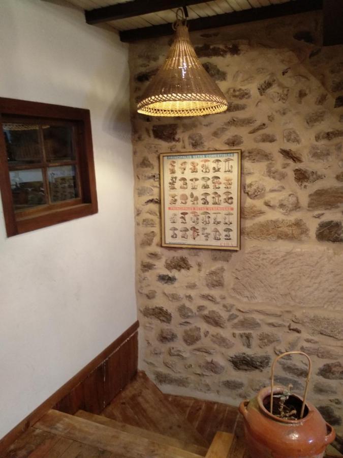 Casa Ribeira Sacra, Ourense, Ninodaguia, Galicia Buitenkant foto